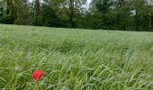 Randonnée Marche Genappe - petit tour par le Sclage. - Photo 3