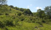 Tour Zu Fuß Poppenhausen - Poppenhausen - Rhön-Rundweg 5 - Photo 1