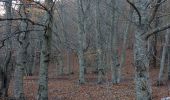 Tocht Stappen Saint-Vallier-de-Thiey - Face Sud de la montagne de Thiey - Photo 7