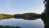 Trail Walking Florenville - rando les epioux 15/09/2020 - Photo 11