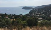 Tocht Mountainbike Gassin - Saint-Tropez - Rayol Canadel sur mer  - Photo 9