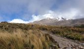 Randonnée Marche San Andrés - trek Equateur jour 2 - Photo 2