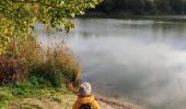 Randonnée Marche Gembloux - Promenade du bois de Grand-Leez et son étang  - Photo 3