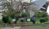 Tocht Stappen Fort-de-France - Boucle sur  Fort-de-France - Photo 19