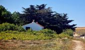 Tour Wandern Noirmoutier-en-l'Île - Jeun et rando J4 Balade à travers les marais depuis le gite - Photo 2