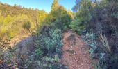 Trail Walking Draguignan - Malmont 10 km - Photo 7