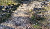 Excursión Bici de montaña Sernhac - Sernhac Uzes voie verte - Photo 1