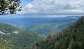 Trail Walking Le Valtin - Col de la Schlucht - Photo 4