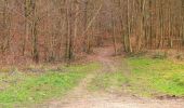 Tocht Te voet Villers-Cotterêts - le GR11A  dans la Forêt de Retz  - Photo 7