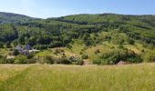 Trail Walking Villé - Le massif de la Honel - Photo 7