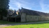 Trail Walking Anhée - Maredsous ok - Photo 3