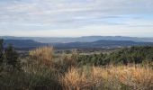 Randonnée Marche Vaugines - PF-Vaugines - Le Mourre Nègre à partir de Vaugines - Photo 8