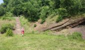 Randonnée Marche Gerolstein - Eifelsteig Gerolstein - Photo 3