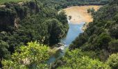 Trail Walking Vieussan - Tour de l’Ayrolle au départ de Vieussan. - Photo 6