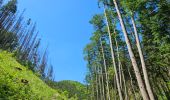 Tour Wandern Kiischpelt - Kautenbach - Sentier local KI 2 - Photo 12