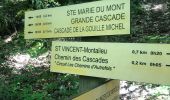 Excursión Senderismo Saint-Vincent-de-Mercuze - Cascades de l’Alloix Montalieu - Photo 6