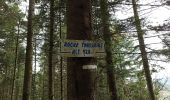 Trail Walking Xonrupt-Longemer - 23-10-22 station fond du poli - roche Toussaint - retour route fores - Photo 4