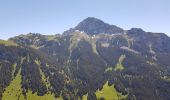 Randonnée Trail Bernex - test appli Thonon les mémises ken - Photo 6