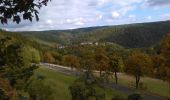 Tour Zu Fuß Schwarzburg - Naturlehrpfad Heinrich Cotta - Photo 1