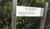 Trail Walking Paziols - Paziols boucle - Photo 1