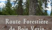 Tour Wandern Embrun - rando suf le mpny guillaume montée par le torrent de Marthe  descentr par la route forestière de bois de  Vezin   - Photo 10