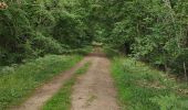 Tour Wandern Saint-Martin-du-Vieux-Bellême - forêt de Bellême - Photo 2