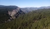 Randonnée Marche Rémuzat - le mont rond - Photo 4