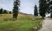 Trail Walking Tržič - veliki vrh 2086 - Photo 18