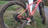 Trail Mountain bike Saint-Clément - sortie vtt du 03032019 fremenil - Photo 7