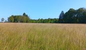 Trail Walking Spa - berinzenne fleurie - Photo 4