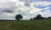 Tocht Stappen Durbuy - Les Dolmens de Wéris  - Photo 13