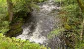 Tour Wandern Trélans - Étape 4 Saint Gilhem  - Photo 4