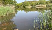 Trail Walking Roquebrune-sur-Argens - Roquebrune - MF de Palaison - Photo 3