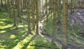 Trail Walking Burg-Reuland - Burg Reuland 180423 - Photo 12