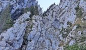 Trail Walking Mont-Saxonnex - BARGY: GRAND BARGY - Photo 1