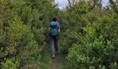 Tour Wandern Millau - le chaos de Caoussou - Photo 3