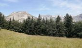 Tocht Stappen Le Dévoluy - la col d aune - Photo 1