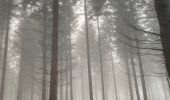 Tocht Stappen Gerpinnes - Brouillard sur Fromiée  - Photo 4