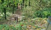 Randonnée Marche Chauffour-lès-Étréchy - Chauffour-lès-Etréchy Coteau des Verts Galants - Photo 2