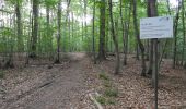 Randonnée A pied Roßleben-Wiehe - Wanderung zum Rabenswald - Photo 2