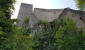 Excursión Senderismo Unknown - Château Hohenbaden - site escalade Battert - Merkur (Rother n°42) - Photo 10