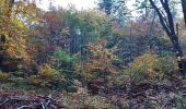 Randonnée Marche Esneux - tilff . bois des manants . ourthe  - Photo 7
