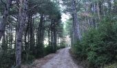 Randonnée Marche Laspuña - House-valliforcas-vulture feeding-ceresa-house - Photo 3