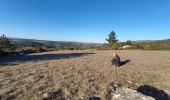 Tour Wandern Gorges du Tarn Causses - champerboux pessade - Photo 3