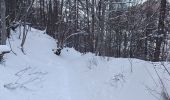 Excursión Raquetas de nieve Allos - Rando Raquettes Val d'Allos  - Photo 2