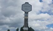 Tour Wandern Vresse-sur-Semois - rando laforêt 24-05-2022 - Photo 3