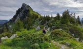Trail Walking Fillière - GLIERES: PACCOT - COL DE L'OVINE - POINTE DE LA QUEBLETTE - Photo 6
