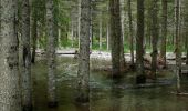 Tour Zu Fuß Breno - Gaver - Lago Nero - Photo 6