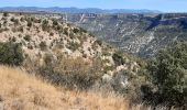 Tour Wandern Saint-Maurice-Navacelles - GRP La Vaquerie - Photo 6