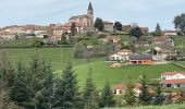 Excursión Senderismo La Gresle - La Gresle : d'une colline à l'autre - Photo 3